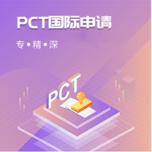 PCT国际申请